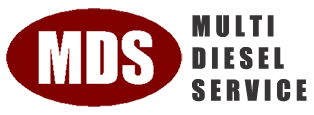 logo-mds-pt
